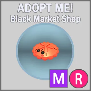 Red Sand Dollar MR