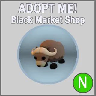 Musk Ox N