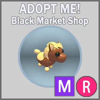 Shetland Pony Dark Brown MR