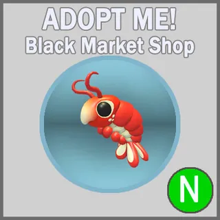 Emperor Shrimp N