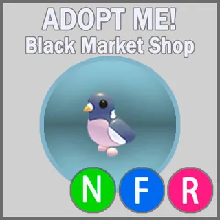 Wood Pigeon NFR
