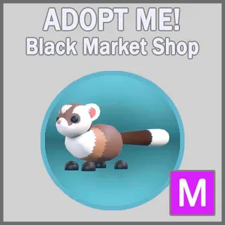 Black-Footed Ferret M