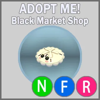 White Sand Dollar NFR 