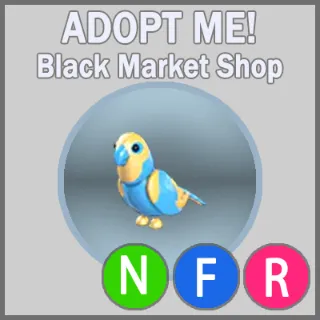 Diamond Amazon NFR