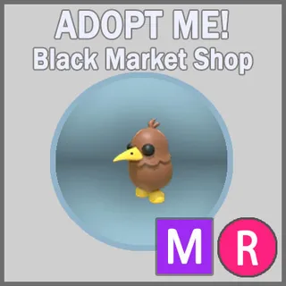 Kiwi MR