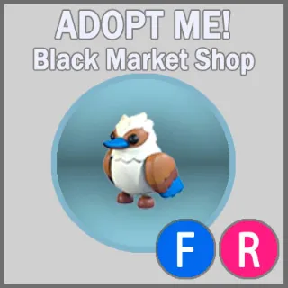 Kookaburra FR
