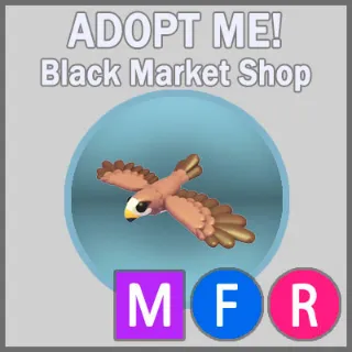 Black Kite MFR