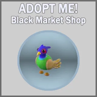 Green-Chested Pheasant 