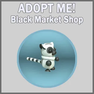 Ring-tailed Lemur