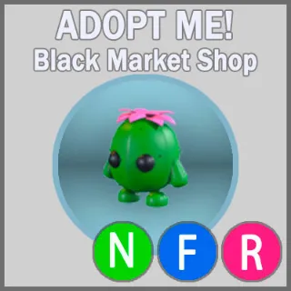 Cactus Friend NFR