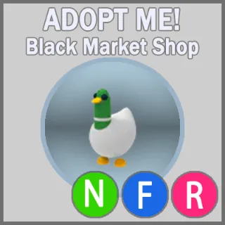 Silly Duck NFR