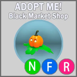 Pumpkin Friend NFR