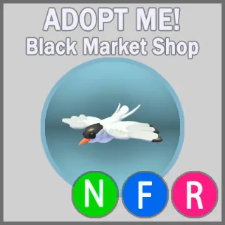 Arctic Tern NFR