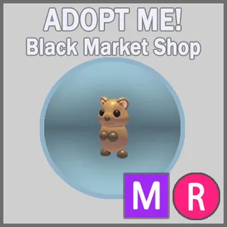 Quokka MR
