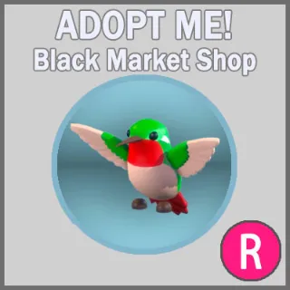 Hummingbird R