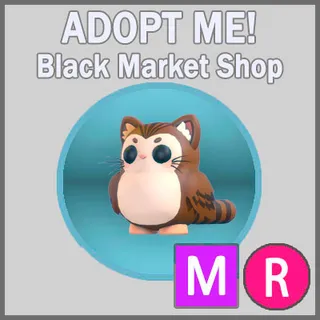 Purrowl MR