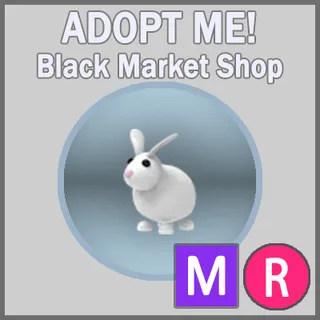 Rabbit MR