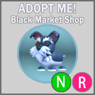 Mini Schnauzer NR