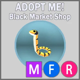 Yellow-lipped Sea Krait MFR