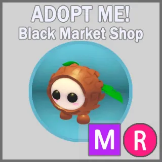 Coconut Friend MR