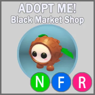 Coconut Friend NFR