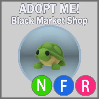 Turtle NFR