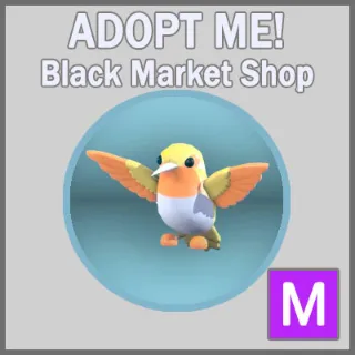 Golden Hummingbird M