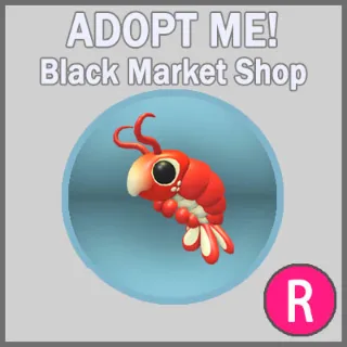 Emperor Shrimp R