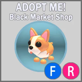 French Bulldog FR