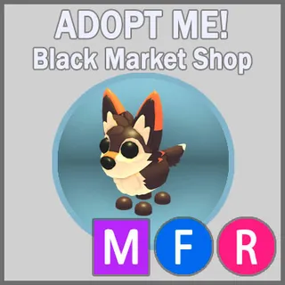 Mexican Wolf MFR