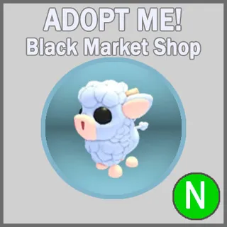 Angus Calf N