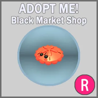 Red Sand Dollar R