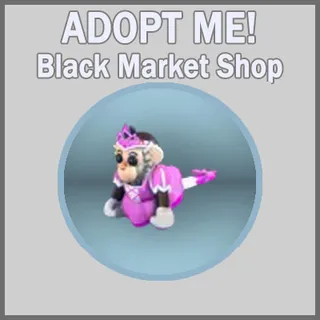 Princess Capuchin Monkey