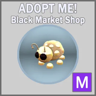 Golden Ladybug M