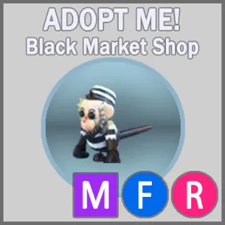Inmate Capuchin MFR