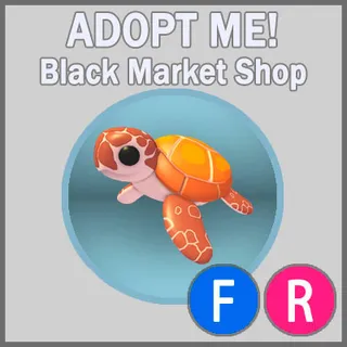 Sea Turtle FR