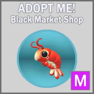 Emperor Shrimp M