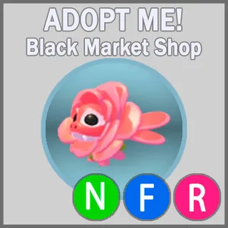 Rose Dragon NFR