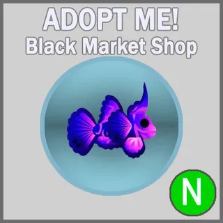 Singularity Pisces N