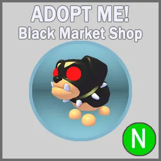 The Black Dog N