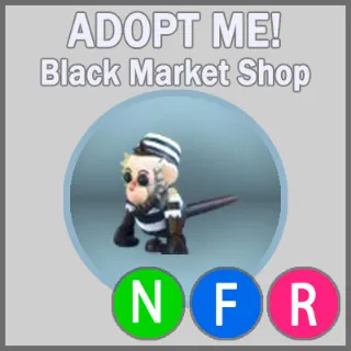 Inmate Capuchin Monkey NFR x5