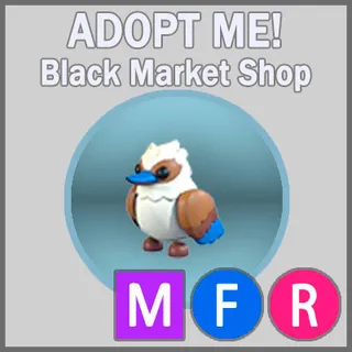 Kookaburra NFR