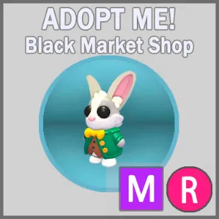 Mr. Whiskerpips MR