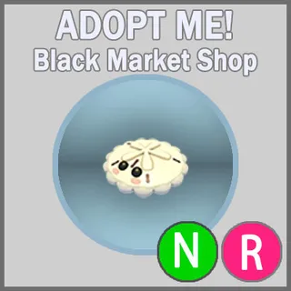 White Sand Dollar NR