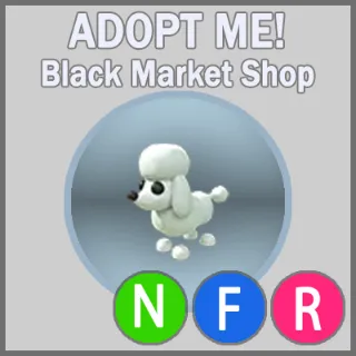 Poodle NFR x5