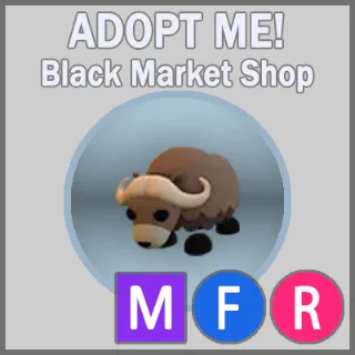 Musk Ox MFR 