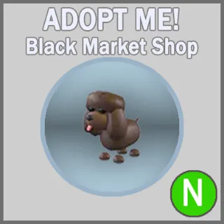 Irish Water Spaniel N