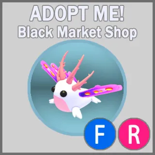 Sea Slug FR