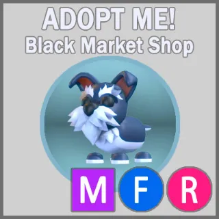 Mini Schnauzer MFR