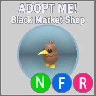 Kiwi NFR